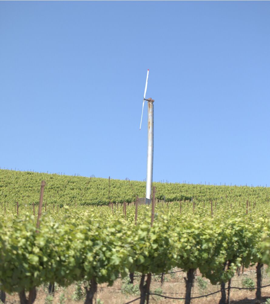 A white wind turbine against a blue sky in a green vineyard